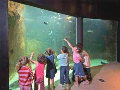 Aquarium marin de Trégastel