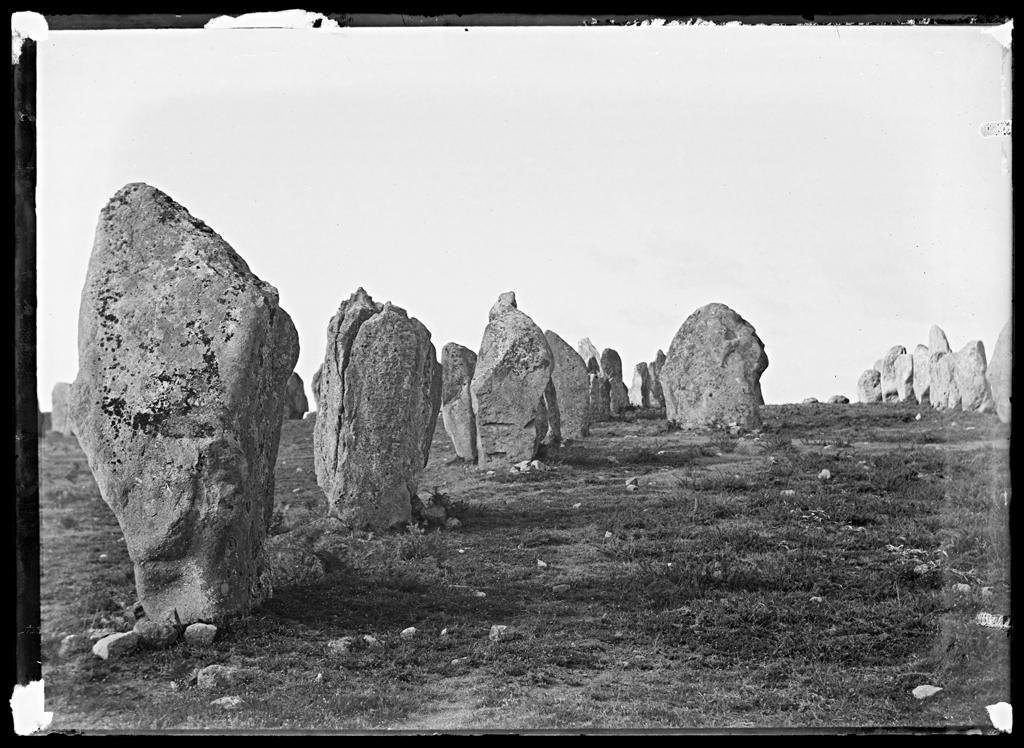 Alignements de Carnac, photo 5