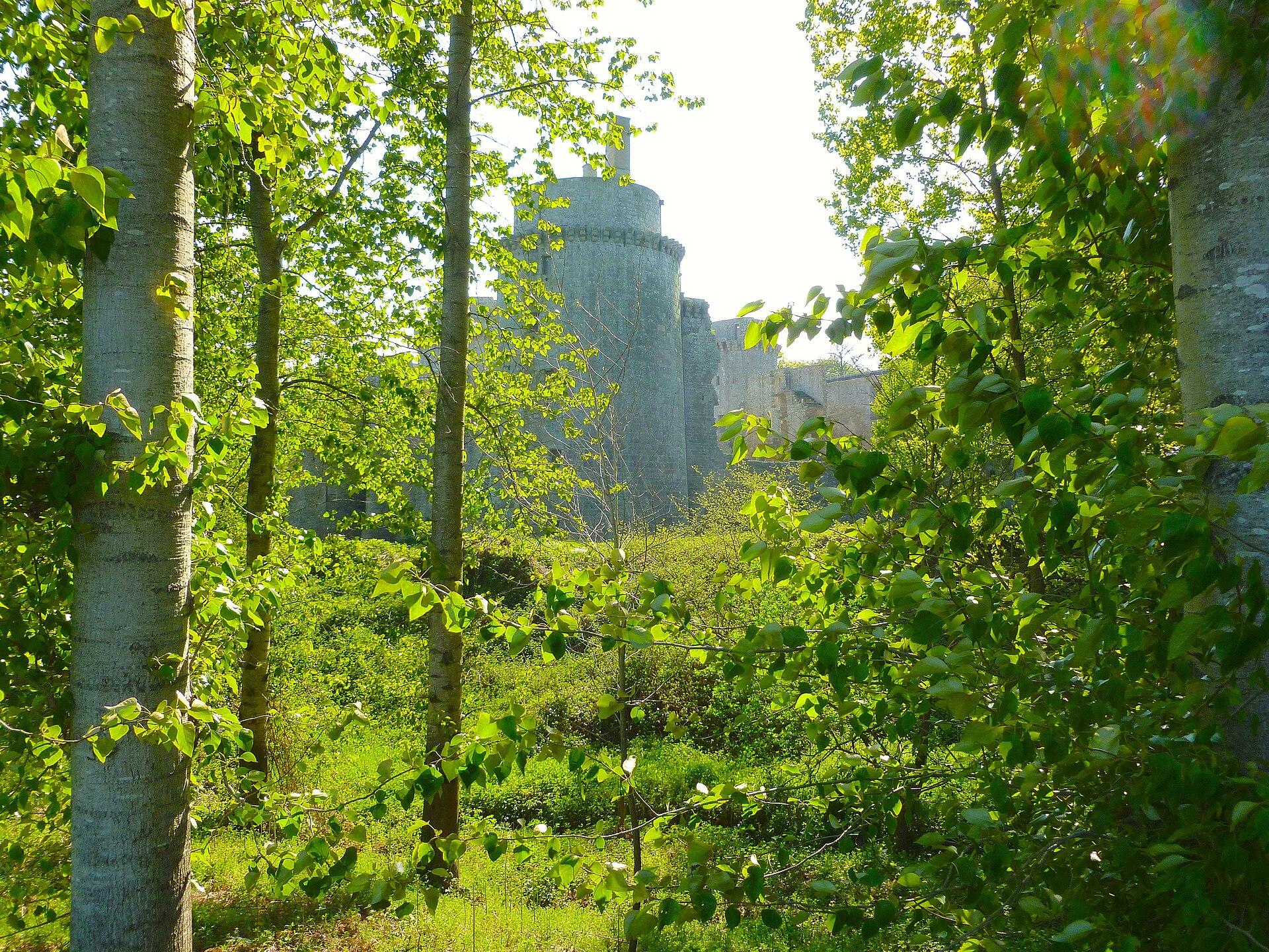 Château de la Hunaudaye, photo 4