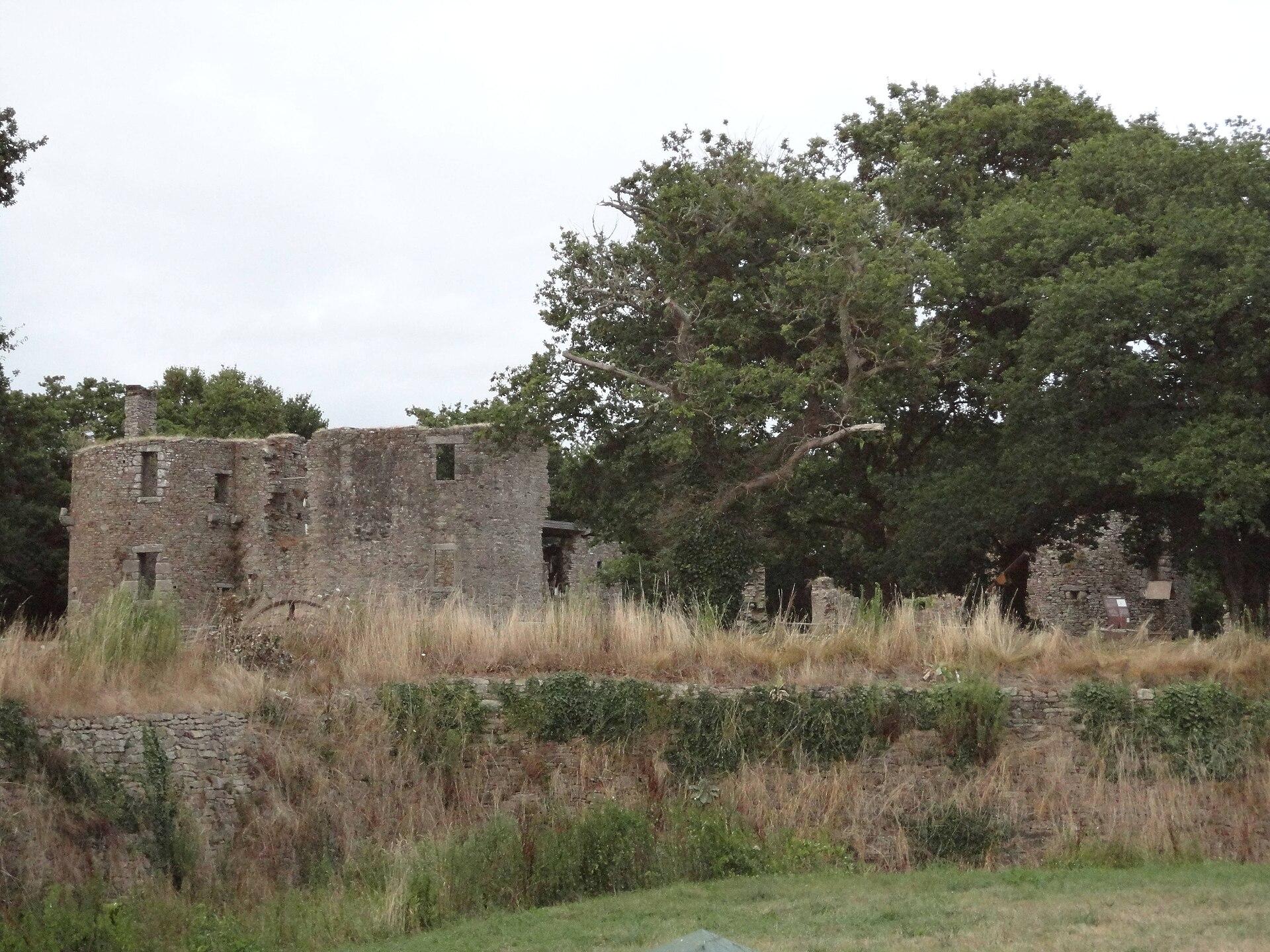 Château de Ranrouët