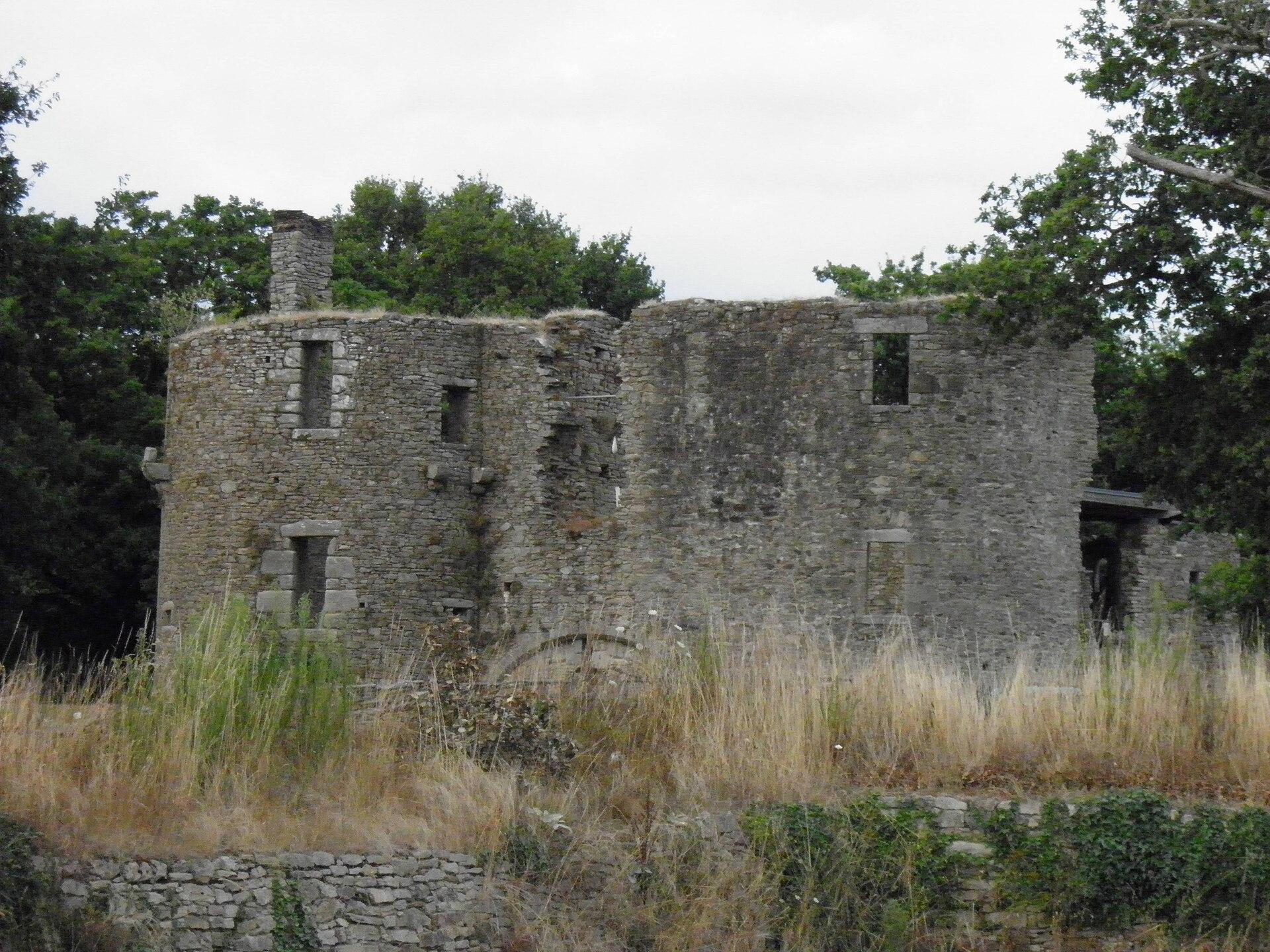 Château de Ranrouët, photo 2