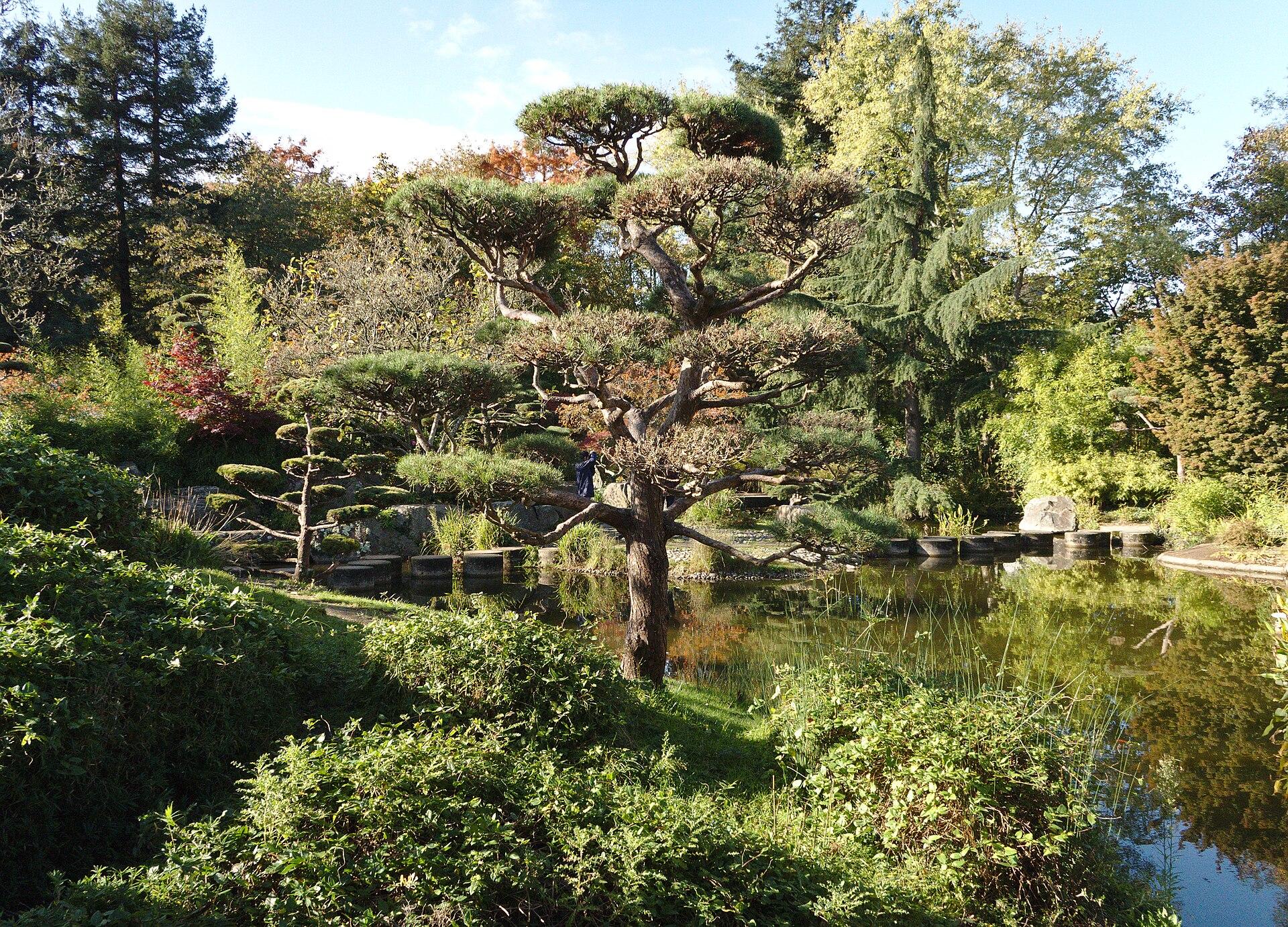 Les Rendez-vous de l’Erdre