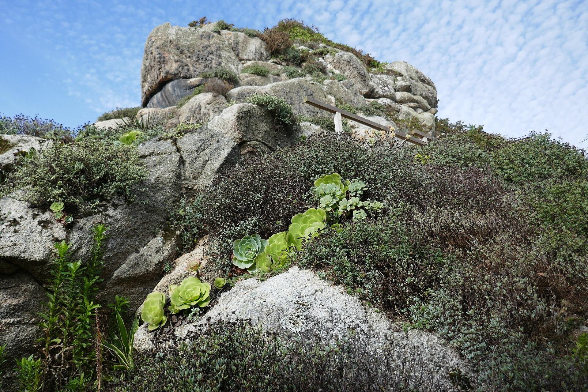 Jardin Exotique de Roscoff
