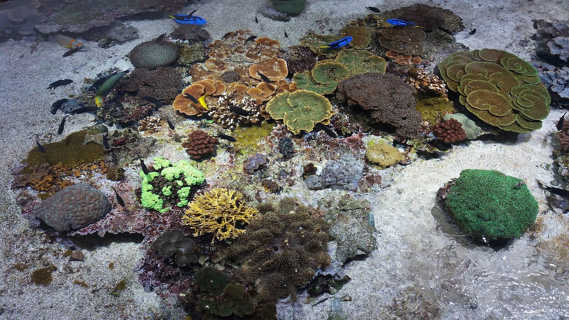 Océanopolis, photo 6