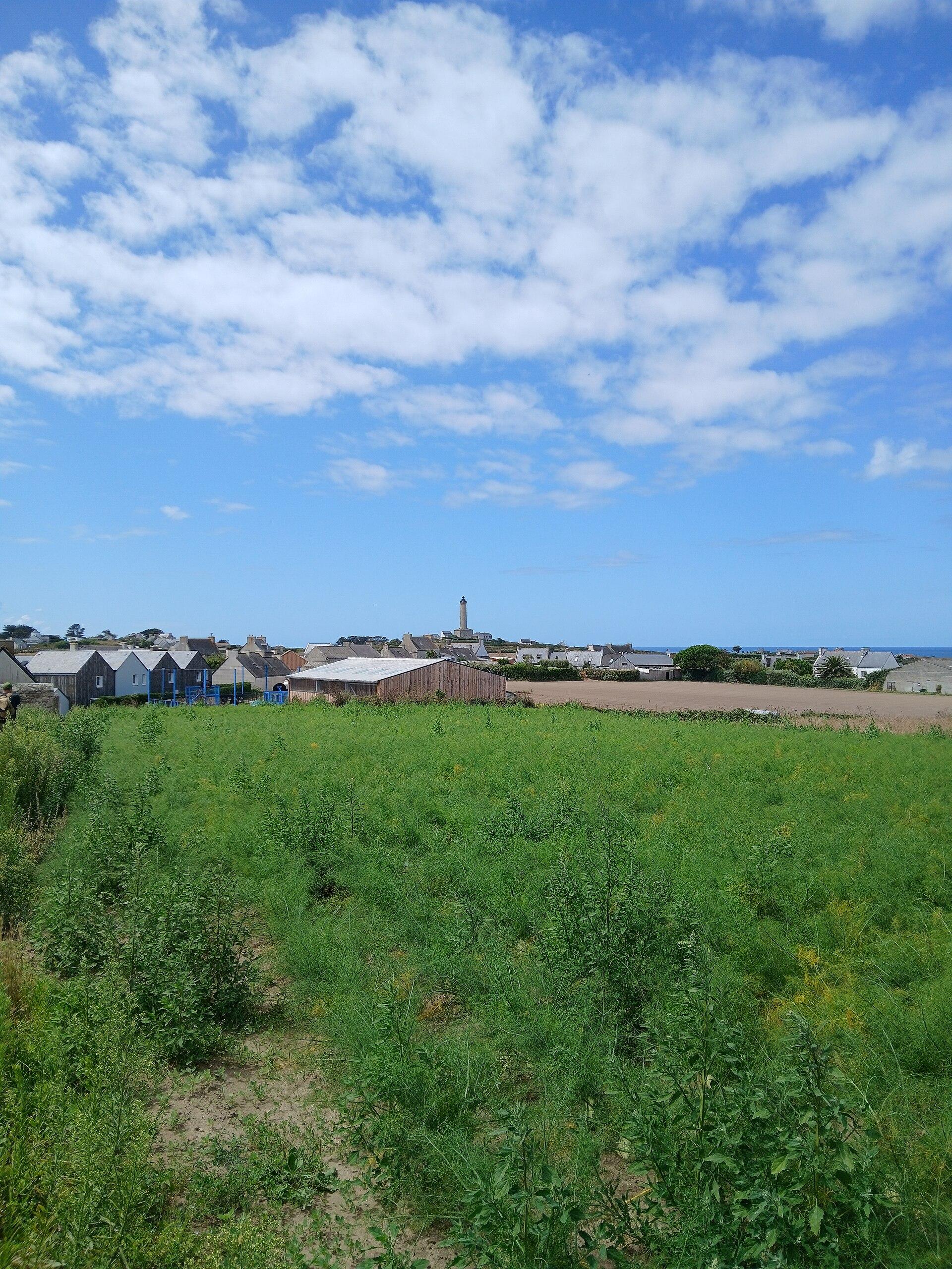 Phare de l’Île de Batz, photo 3