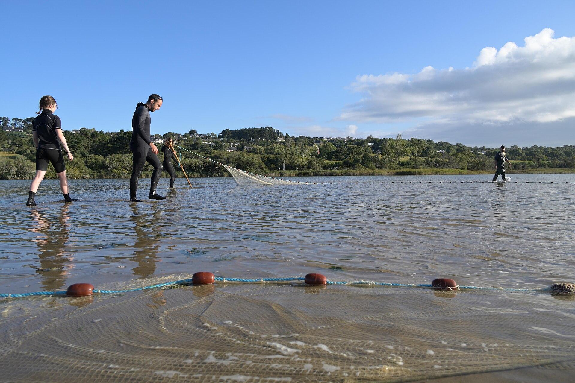 Plage de l’Aber, photo 4