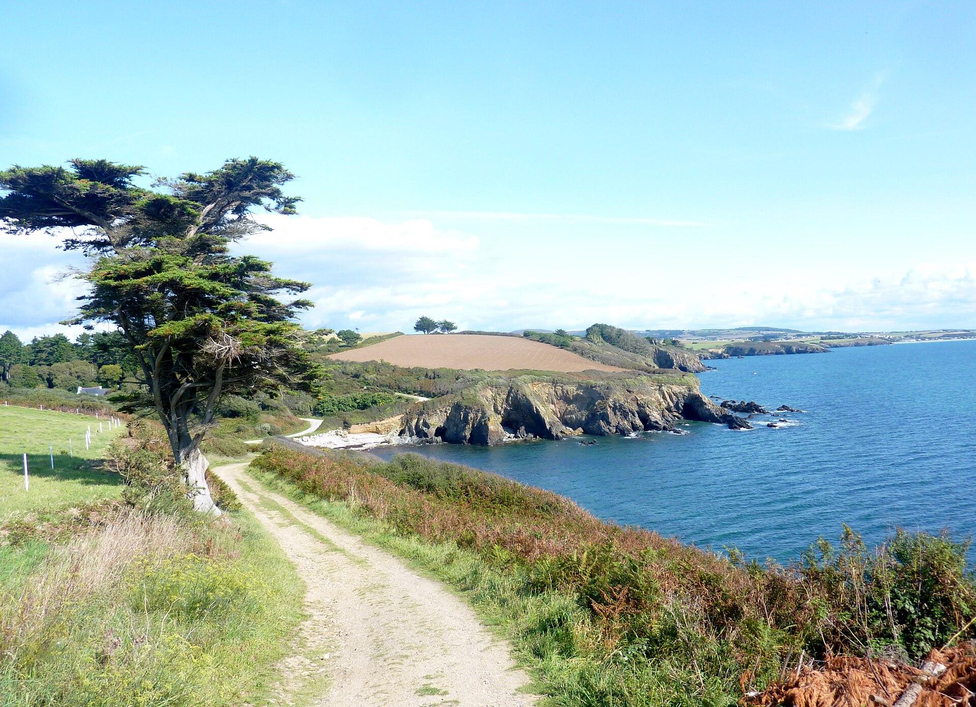 Plage de Trez Bellec, photo 3