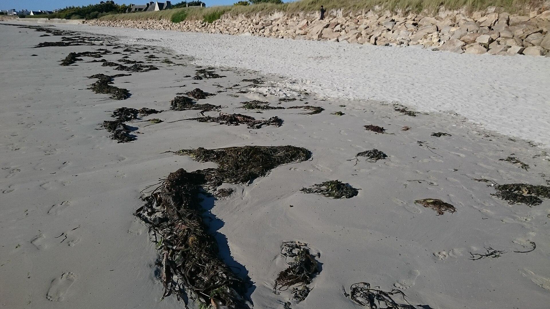 Plage du Dossen, photo 4
