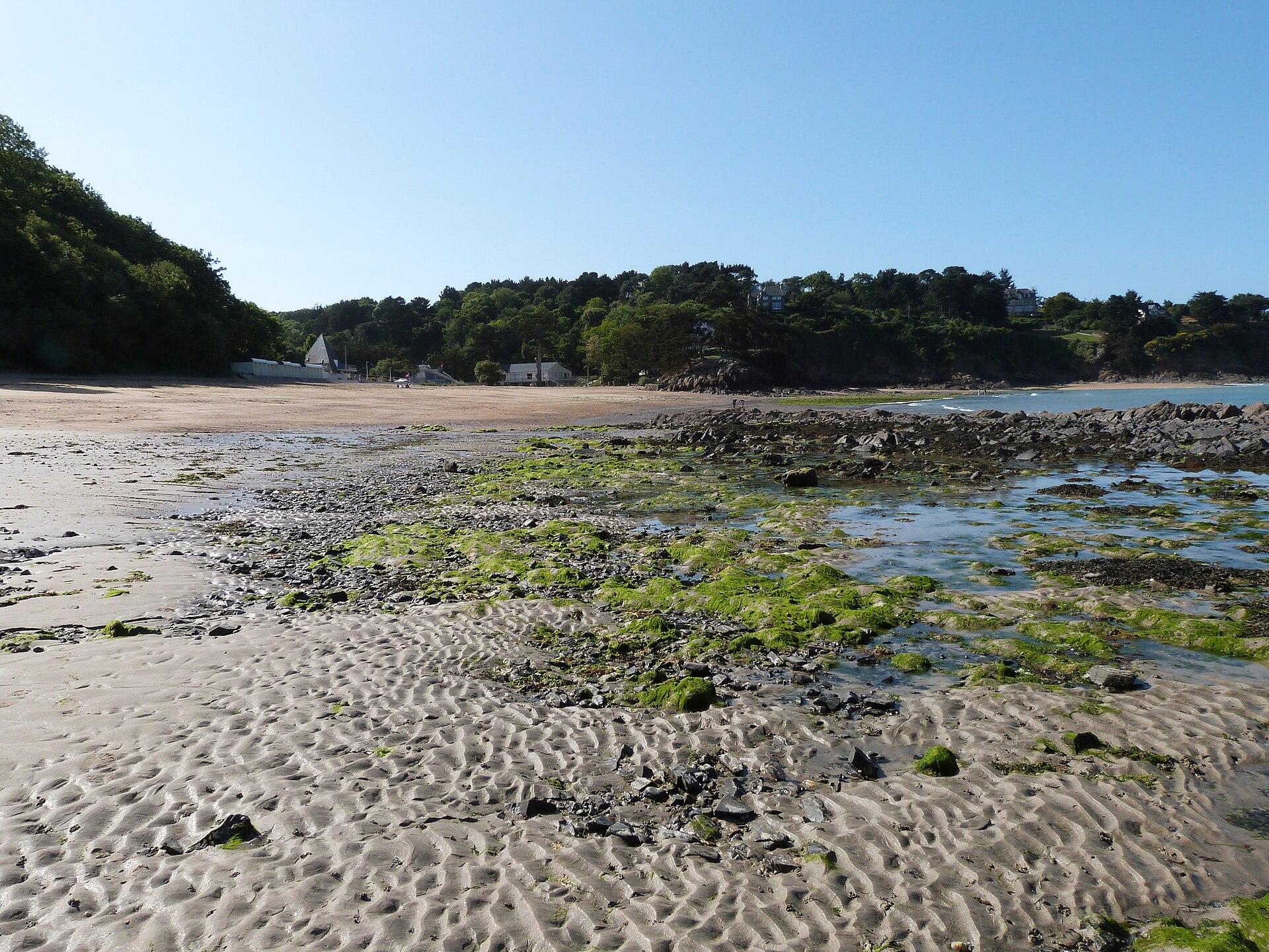 Plage du Moulin, photo 4