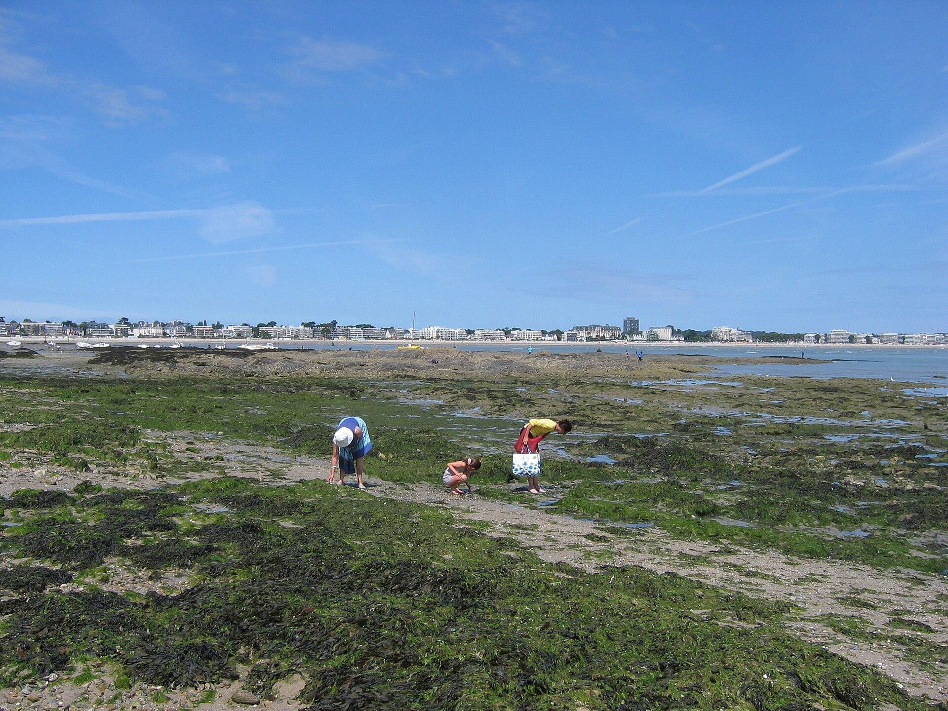 Plage du Nau, photo 3