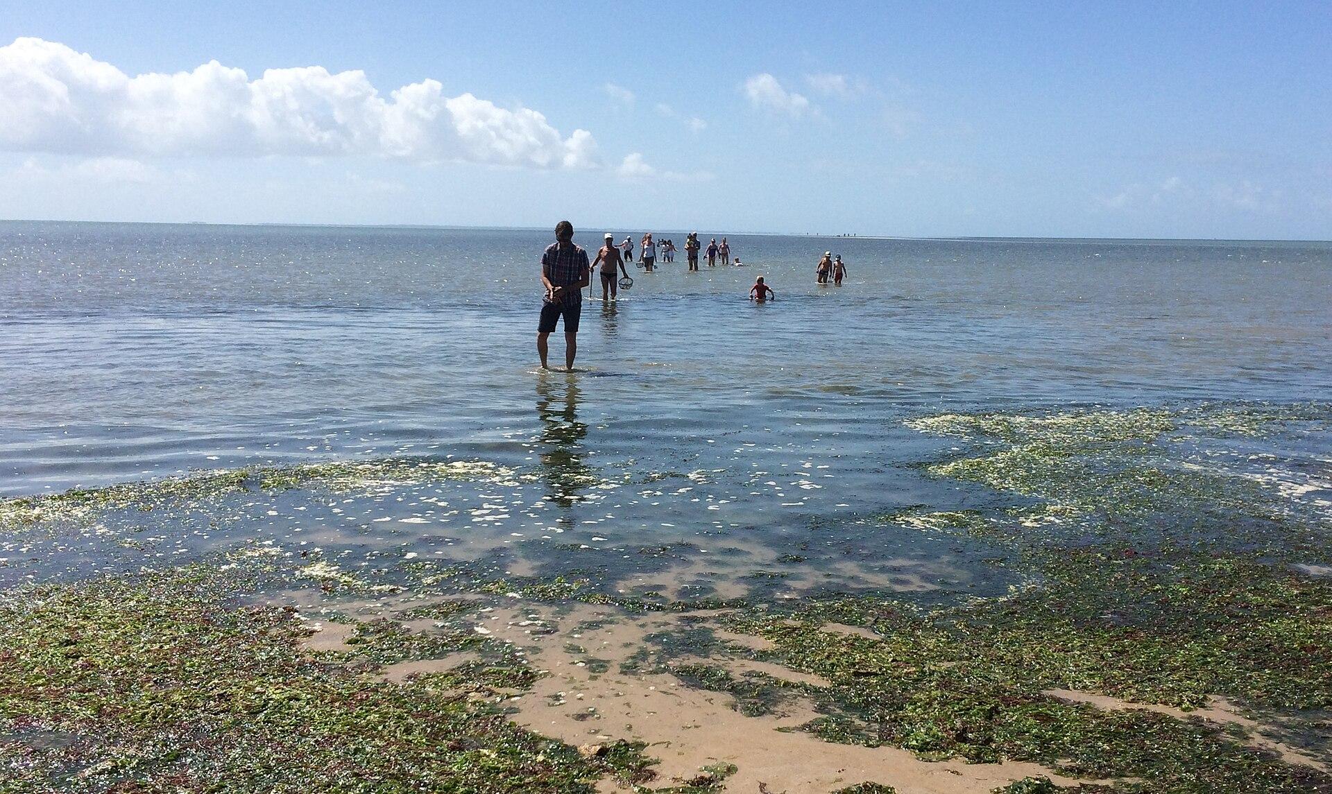 Plage du Pont, photo 3