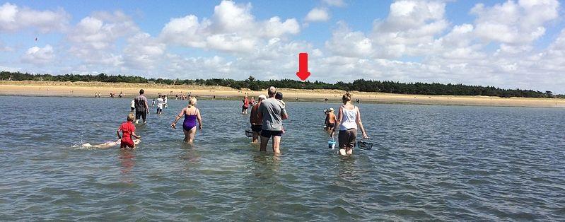 Plage du Pont, photo 4