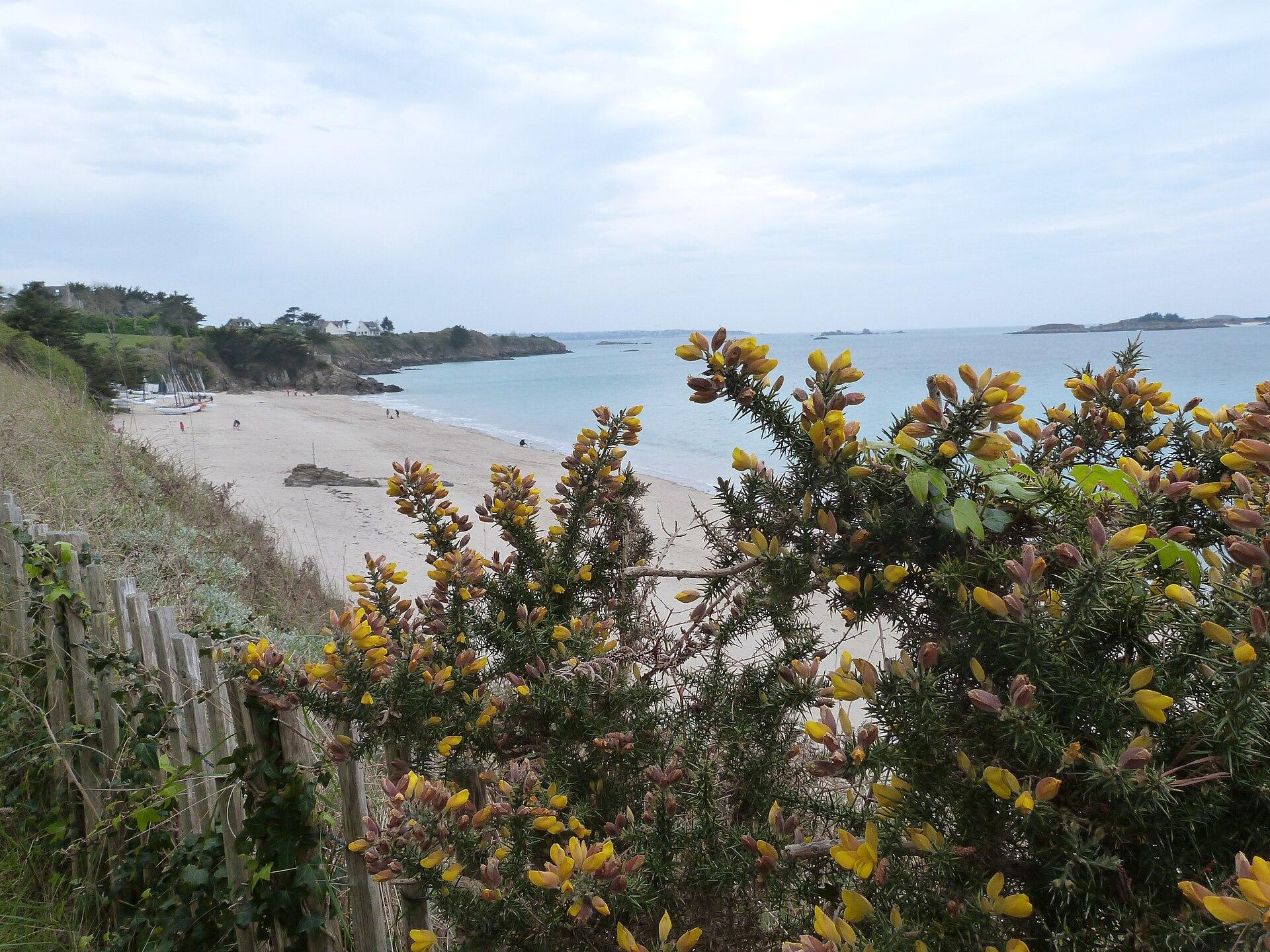 Plage du Rougeret