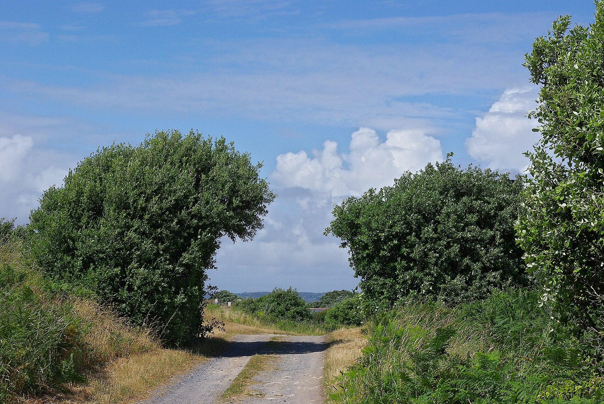 Batz-sur-Mer, photo 2