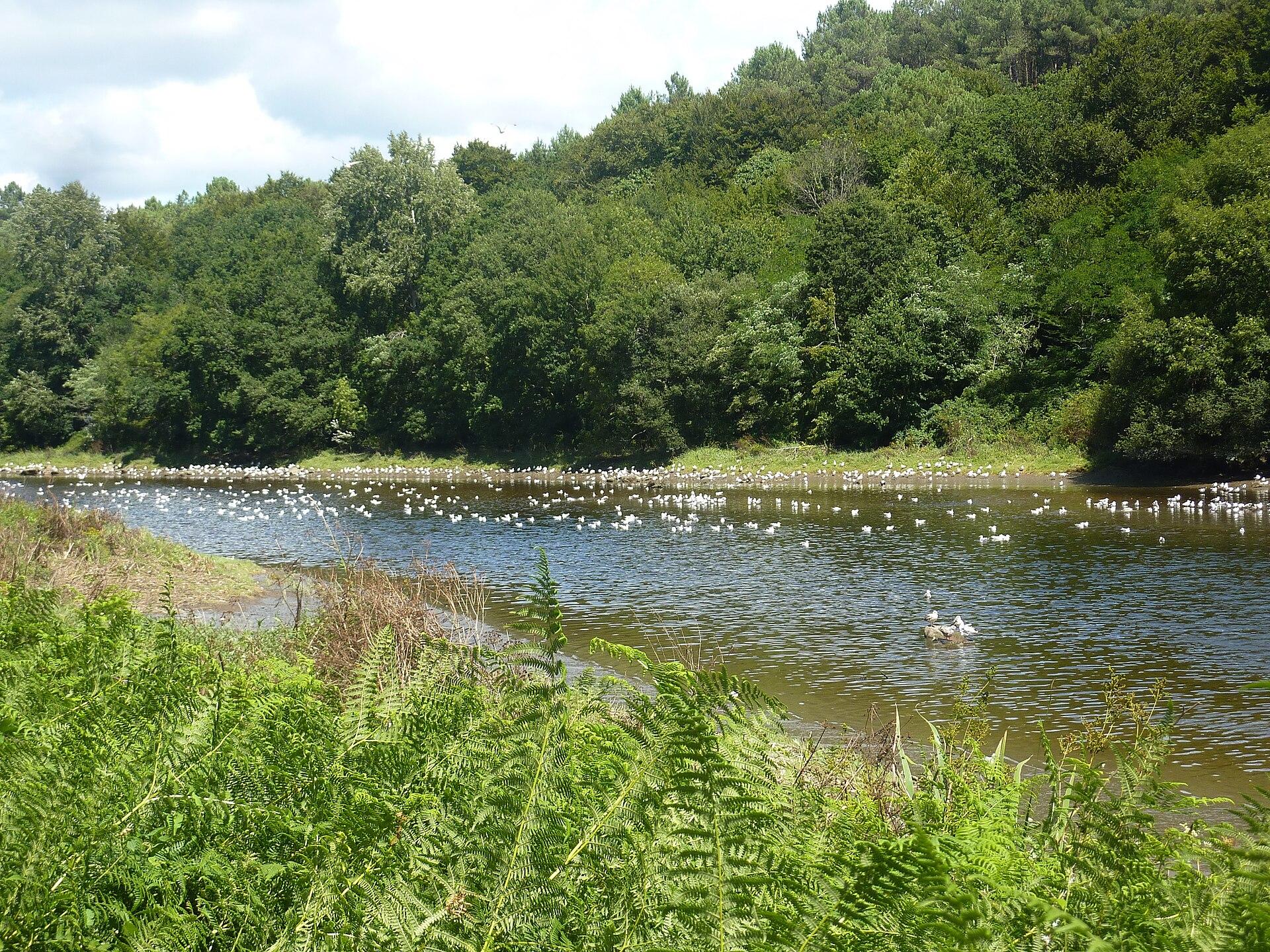 Pont-Scorff, photo 5